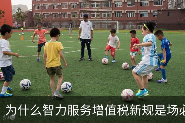 为什么智力服务增值税新规是场必要变革？