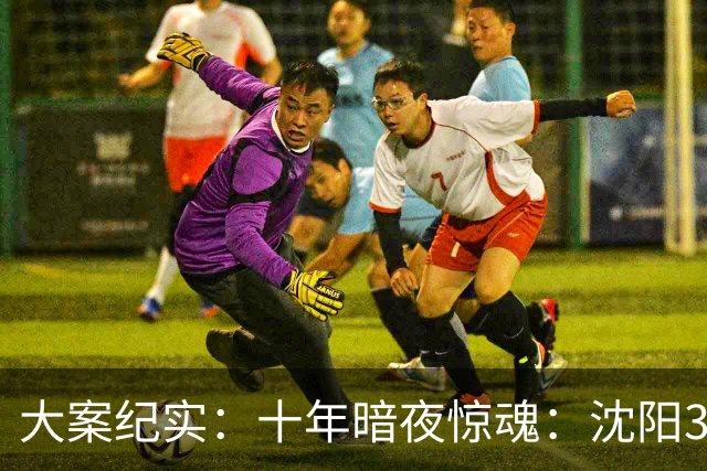 大案纪实：十年暗夜惊魂：沈阳3·8特大持枪连环杀人抢劫案