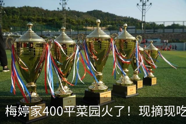 梅婷家400平菜园火了！现摘现吃连颖儿都吃到礼服扣不上